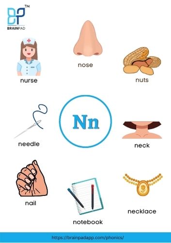 word start with letter n