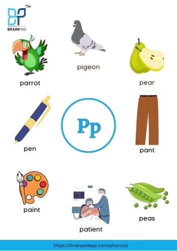 word start with letter p