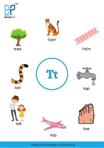 word start with letter t