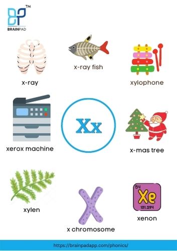 word start with letter x