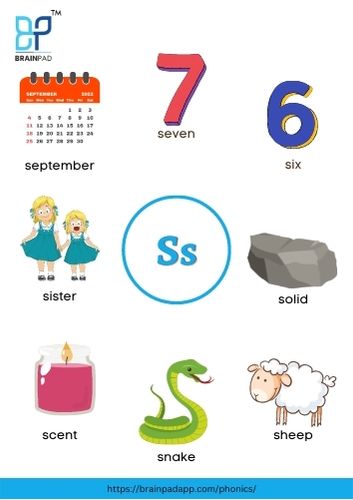 word start with letter s