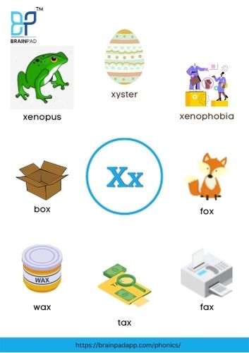 word start with letter x