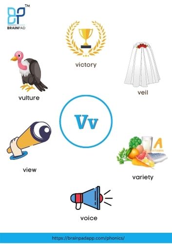 word start with letter v