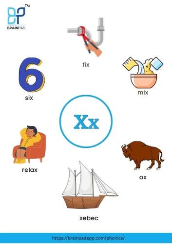 word start with letter x