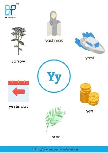 word start with letter y